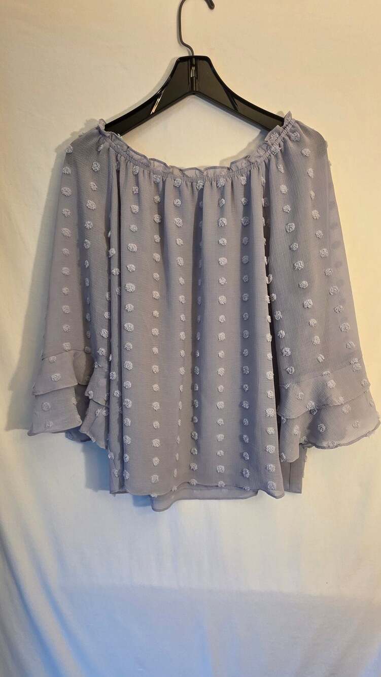Blooming Jelly Off-Shoulder Swiss Dot Long Sleeve Top